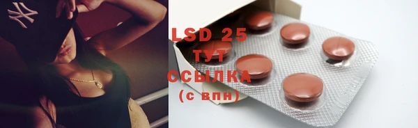 PSILOCYBIN Алексеевка